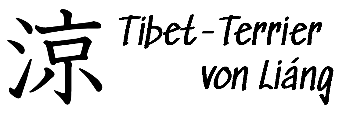 Tibet Terrier von Liáng